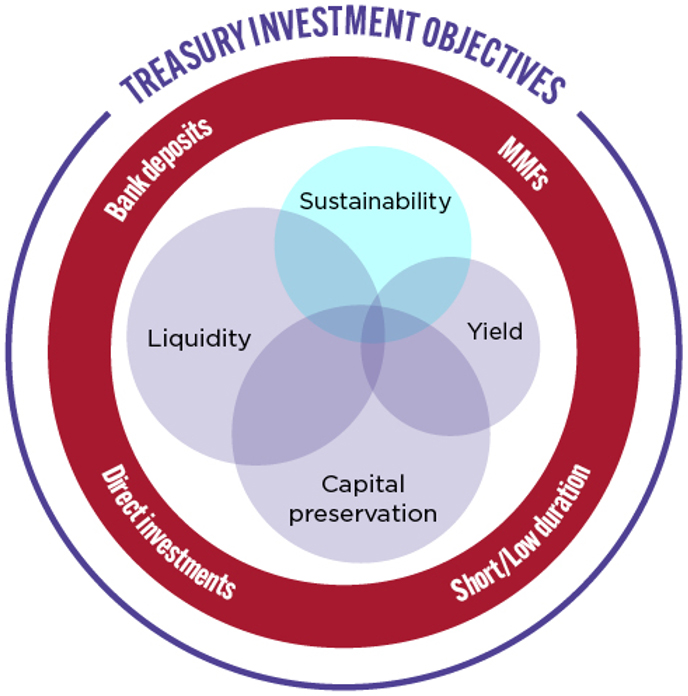 Treasury investment objectives