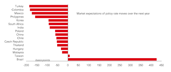 Chart of the week – EM policy divergence in 2025